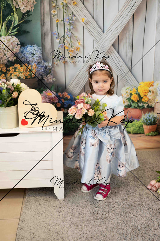 DSC_0379